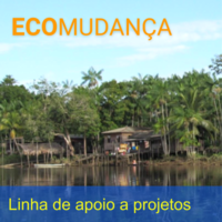 Perfil incentivador